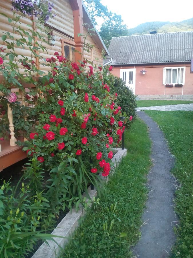 Отель Borgaza Яремча Экстерьер фото